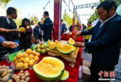 盐城吃瓜爆料视频最新,揭秘当地热门事件幕后真相